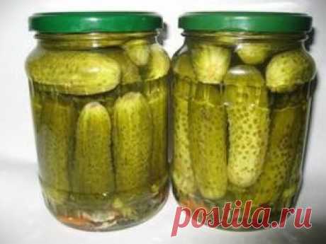 Маринованные огурчики «Болгария отдыхает». | Женский блог