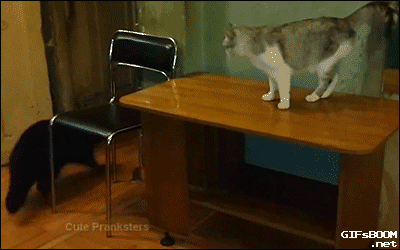 Gifки