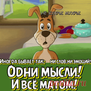 Выпуск №6454 - выпуск анекдотов сайта вокруг смеха