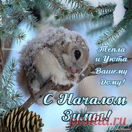 С Началом Зимы!
 Красивые картинки и открытки  vk.com/fotomimi