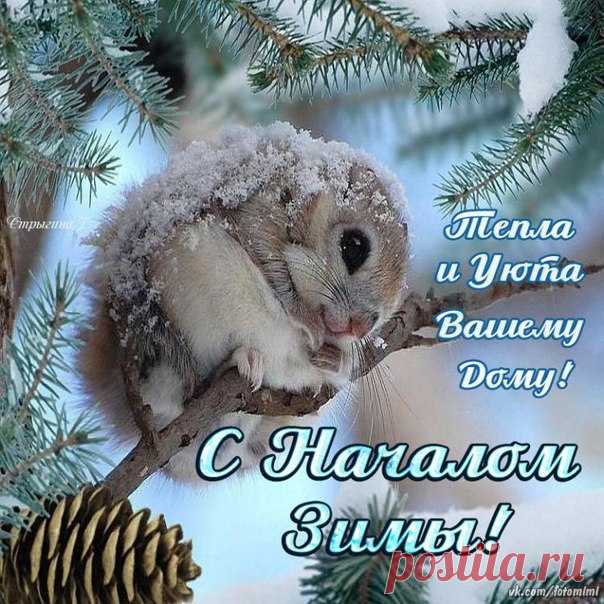 С Началом Зимы!
 Красивые картинки и открытки  vk.com/fotomimi
