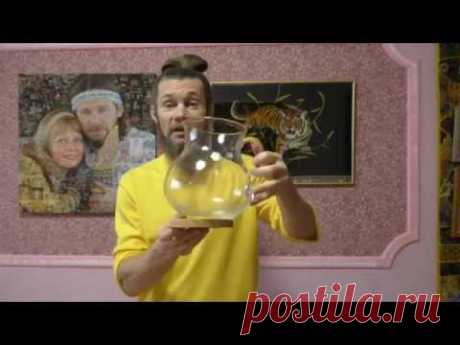 ЭДУАРД-ЛЮБОМИР ВОЛЬНЫЙ снимает "лапшу с ушей" обывателей. Человеческий организм - это автономная биоэнергетическая совершенная система запрограммированная на...