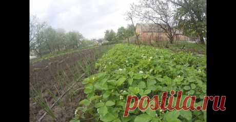 (5) Facebook