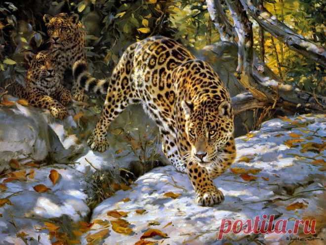 Мир дикой природы от разных художников.