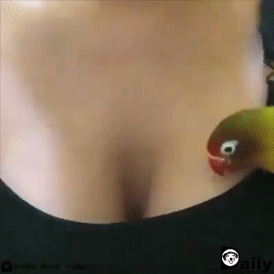 Уютное гнездышко