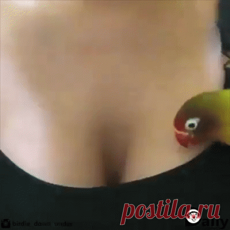 Уютное гнездышко