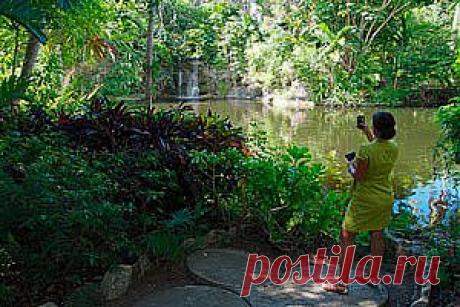 Остров Доминика – нетронутый уголок