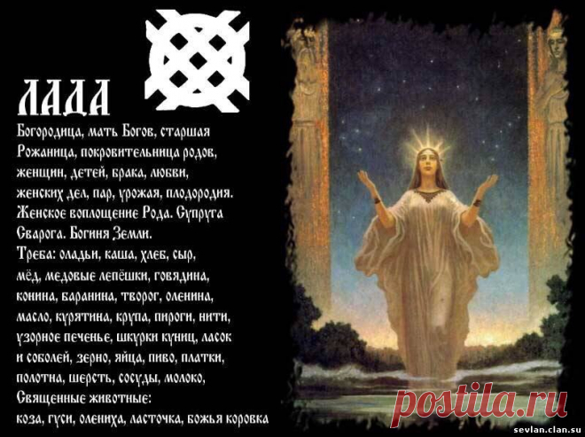 РАСА