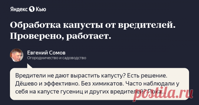 «Обработка капусты от вредителей. Проверено, работает.» – Яндекс.Кью Вредители не дают вырастить капусту? Есть решение. Дёшево и эффективно. Без химикатов.

Часто наблюдали у себя на капусте гусениц и других вредителей? Пока думали, искали решение и применяли неэффективные средства у вас поели все листья?

Народный рецепт, успешно применяемый десятилетиями.

Состав гарантированно спасает от гусениц, помогая от других вредителей и одновременно проводит внекорневую подкормку...