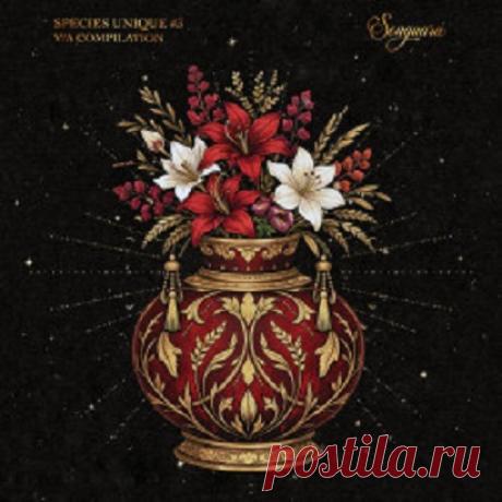 Download VA – Species Unique #3 [Songuara] — Organic House / House 2026 - Organic House / Downtempo, Progressive House - MusicVibez % Page number Download VA – Species Unique #3 [Songuara] — Organic House / House 2026 in 320 kbps, FLAC and WAV — fresh DJ releases Artist: VA (D-Nox, Madraas, Double Touch, Erdi Irmak, etc.) Title: Species Unique #3 Label: Songuara Catalog #: SU3 Style: Organic House / Deep House / Progressive House Release Date: 17.04.2026 Quality: 320kbps T...