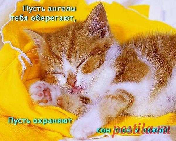 • Лучшие картинки и открытки ► vk.com/fotomimi ◄