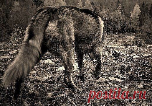 Если вы уходите и вас никто не зовет обратно – вы идете в верном направлении.
