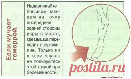 Если мучает геморрой