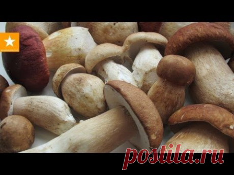 Сушим грибы - быстрый и проверенный способ - YouTube