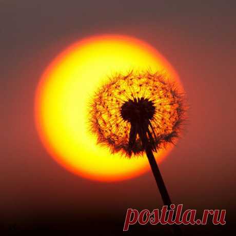 Интересные новости