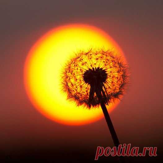 Интересные новости