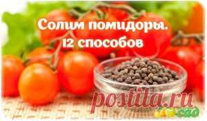 СОЛИМ ПОМИДОРЫ. 12 СПОСОБОВ. - "Моя Дача" - fybcbvjdyf@mail.ru - Почта Mail.Ru