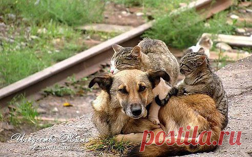 Счастье - это когда Тебя любят за то, что Ты есть...За то какой Ты есть...И невзирая на то, что у Тебя есть...