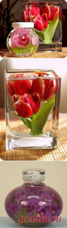 (46) Одноклассники