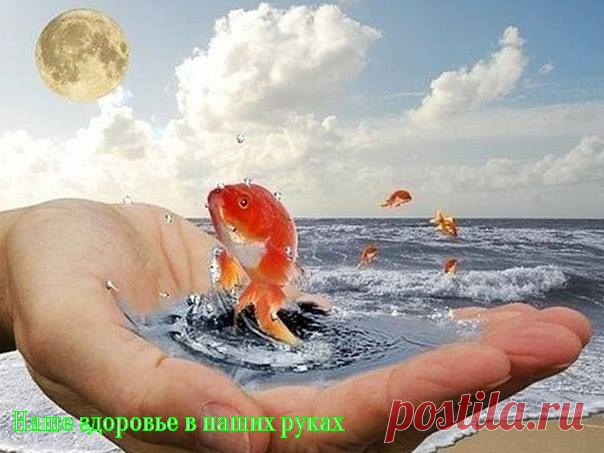 ПРАВИЛА, БЛАГОДАРЯ КОТОРЫМ ИСПОЛНЯЮТСЯ ЖЕЛАНИЯ.