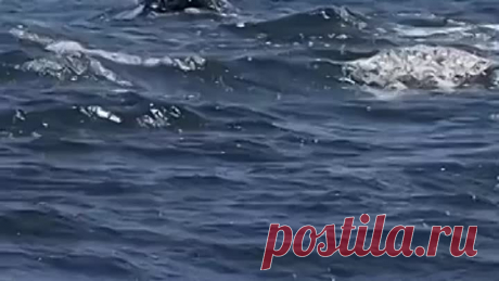 Красота