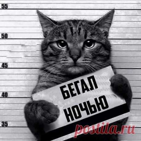 Интересные новости