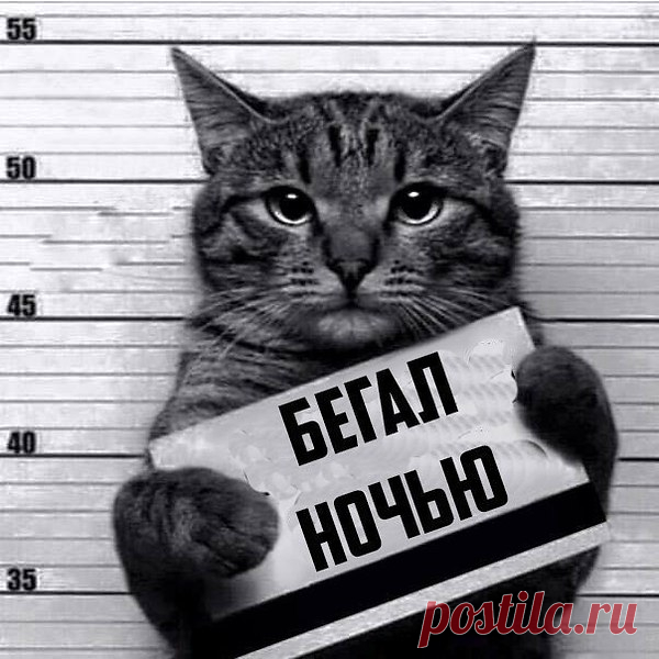 Интересные новости