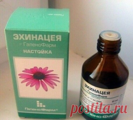Настойка для чистки крови