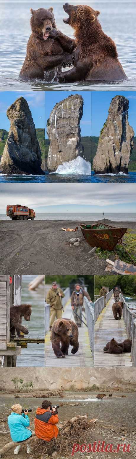 Фотопутешествие по &amp;#171;земле медведей&amp;#187; &amp;#8212; Камчатке