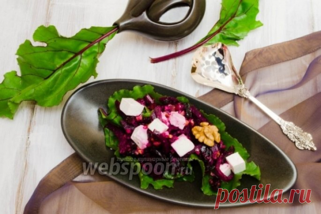 Салат свекольный ботвинник рецепт с фото, как приготовить на Webspoon.ru