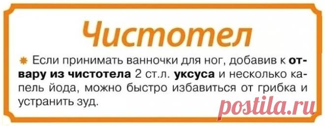 Ванночка для ног  с чистотелом от грибка