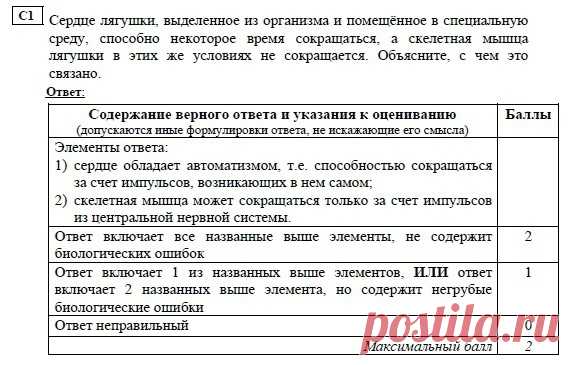 nUSwJOrtK3E.jpg (579×365)