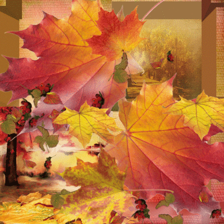 осень............золотая пора