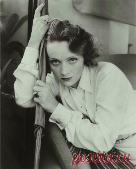 Marlene Dietrich 1931