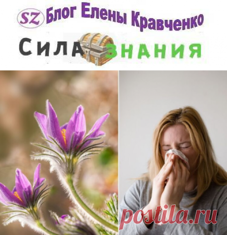 Аллергия весной на цветение, симптомы. Чем лечить и как избавиться от весенней аллергии