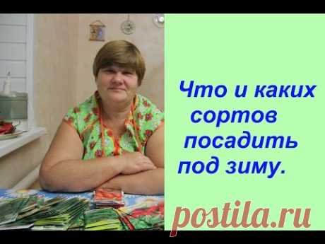 Что и каких сортов посадить под зиму.
