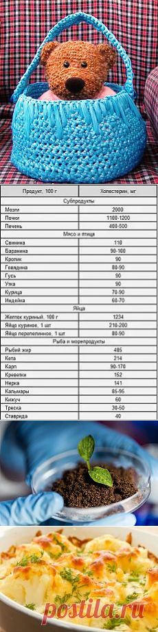 ❀ Из мусорных пакетов. Холестериновая таблица. Вредный компост. Домашнее вместо фастфуда. Привлекательность в жару. Сладкое худеющим // Кусочек Постилы к чаю! - lnd2011-55@mail.ru - Почта Mail.Ru