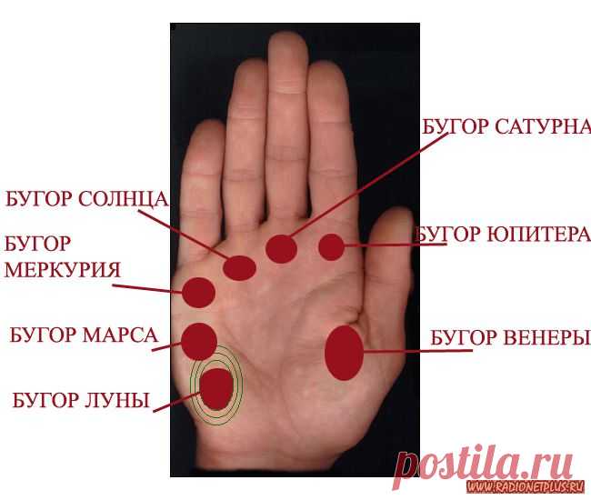 ПРОФЕССИЯ НАПИСАНА НА ВАШЕЙ ЛАДОНИ.... | Познавательный сайт ,,1000 мелочей"