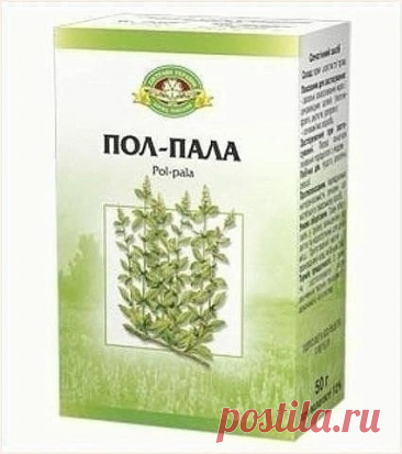 ПОЛ-ПАЛА – ХИРУРГ БЕЗ СКАЛЬПЕЛЯ.