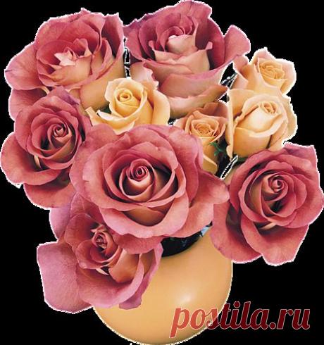 Ninel — «92.png» на Яндекс.Фотках