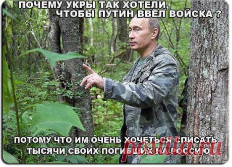 Отличные футболки и толстовки для мужчин и женщин с изображением Путина В. В.
Приобрести можно здесь ==>> https://www.vsemayki.ru/landing/vvp?ref=52982
Приобрети футболку - поддержи Путина и Россию!