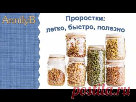 15 растений, проростки семян которых стоит включить в рацион