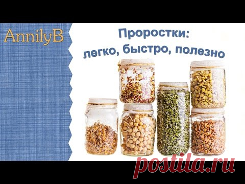 15 растений, проростки семян которых стоит включить в рацион