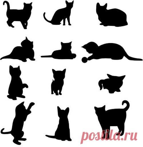 Трафарет кошки, кота. Шаблоны | Кругозор