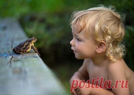 (99) Одноклассники