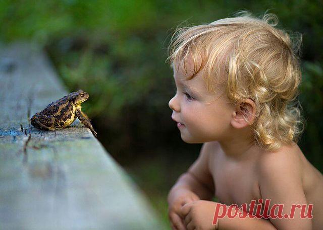 (99) Одноклассники