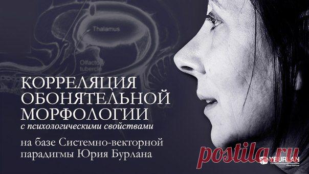 Корреляция обонятельной морфологии с психологическими свойствами на базе системно-векторной парадигмы Юрия Бурлана