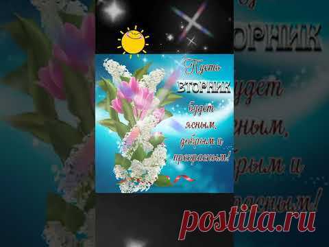 Позитивчик. ЧУДЕСНОГО ВТОРНИКА И СОЛНЫШКА В ДУШЕ !!! ... 💥 #чудесноговторника