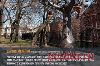 Где можно загадывать желания в Петербурге