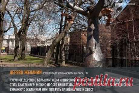 Где можно загадывать желания в Петербурге
